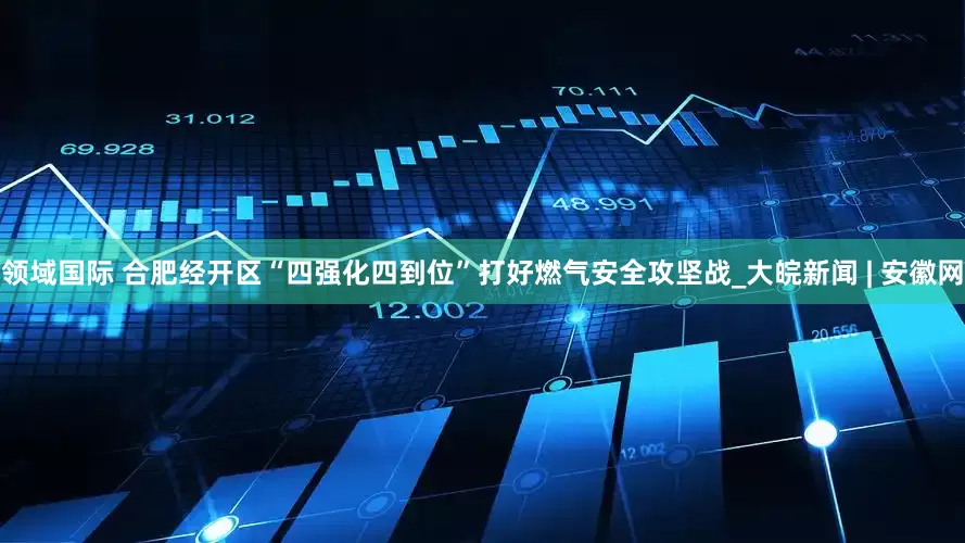 领域国际 合肥经开区“四强化四到位”打好燃气安全攻坚战_大皖新闻 | 安徽网