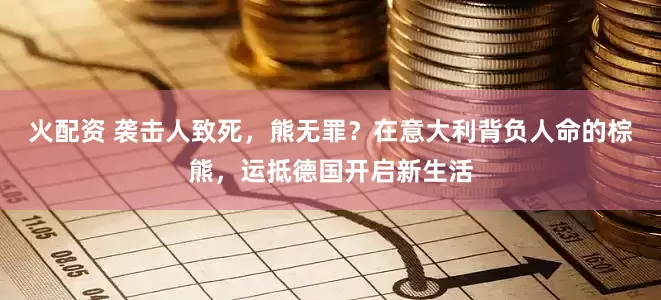 火配资 袭击人致死，熊无罪？在意大利背负人命的棕熊，运抵德国开启新生活