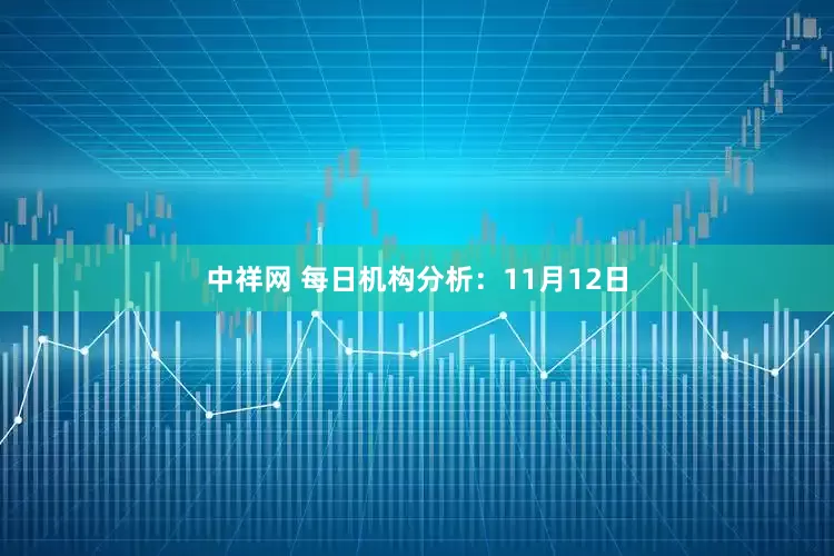 中祥网 每日机构分析：11月12日